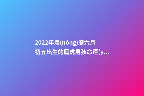 2022年農(nóng)歷六月初五出生的屬虎男孩命運(yùn)如何？ 1987年農(nóng)歷六月初五五行是什么命性別男-第1張-觀點(diǎn)-玄機(jī)派